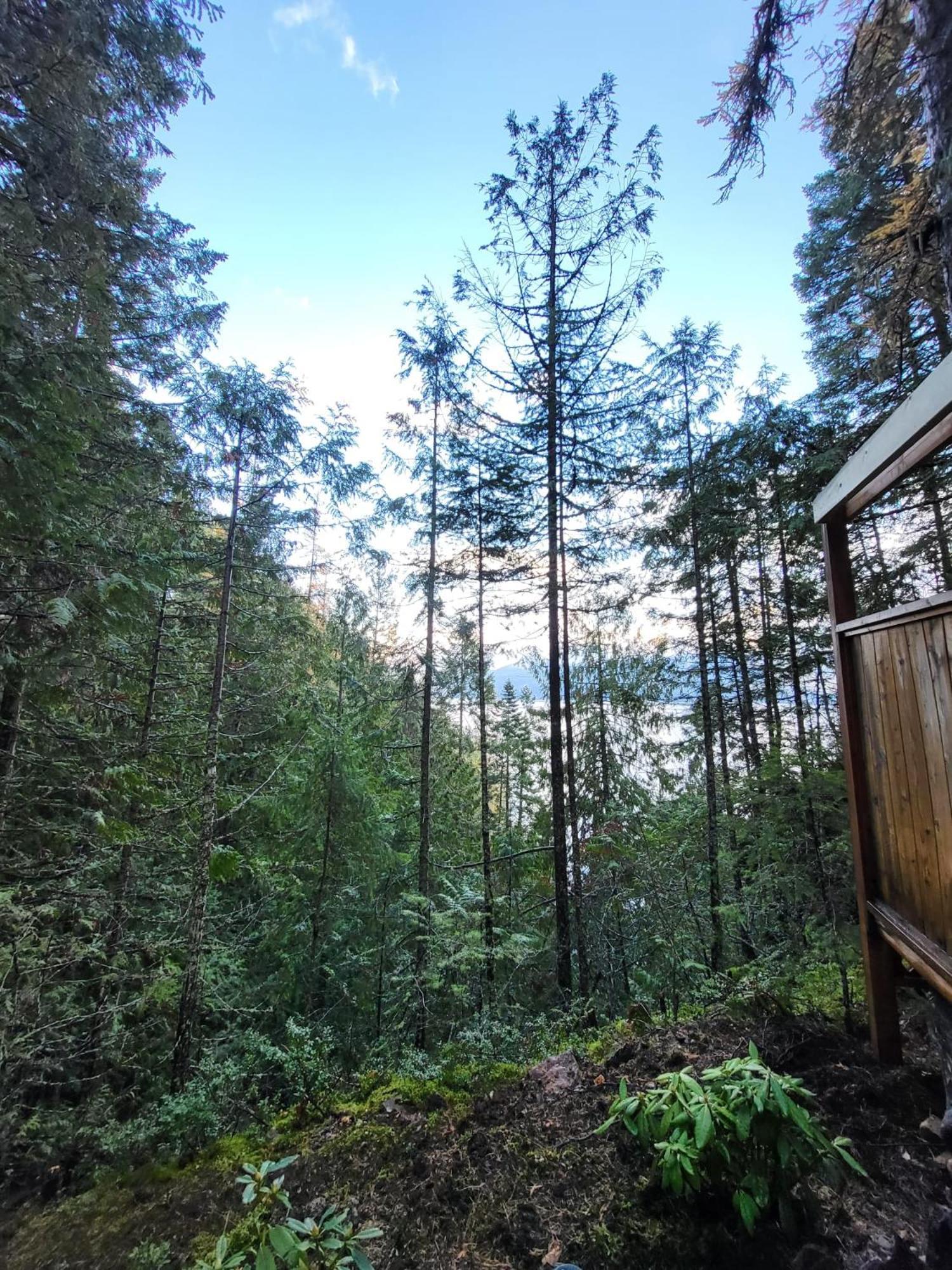 Forest Nook Holiday home *