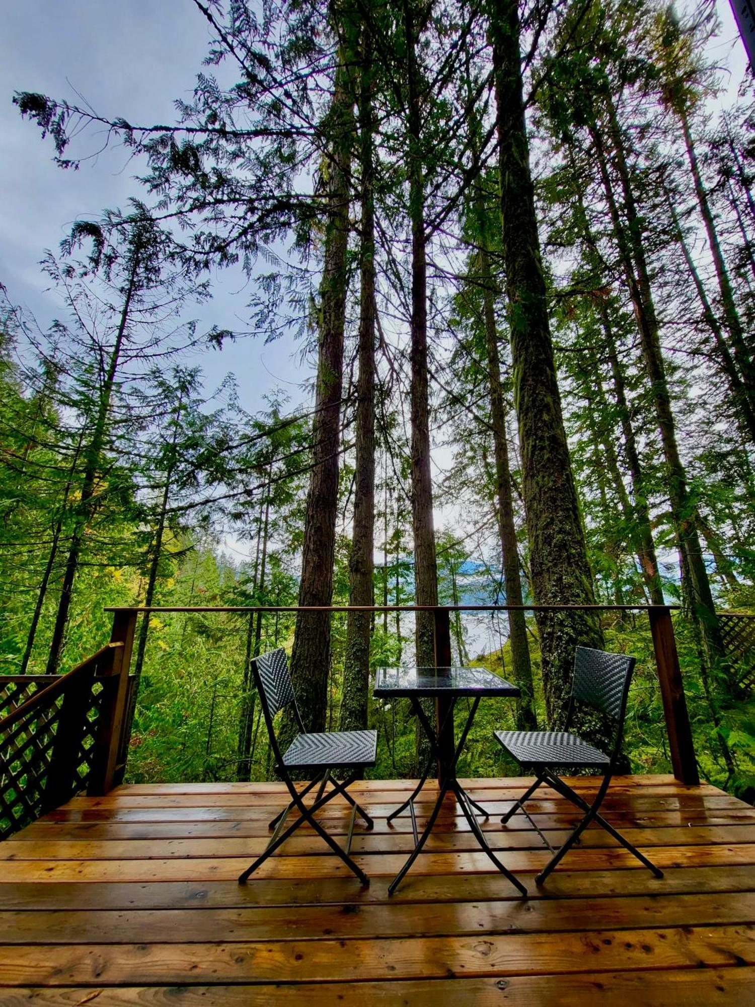 Forest Nook * Queens Bay