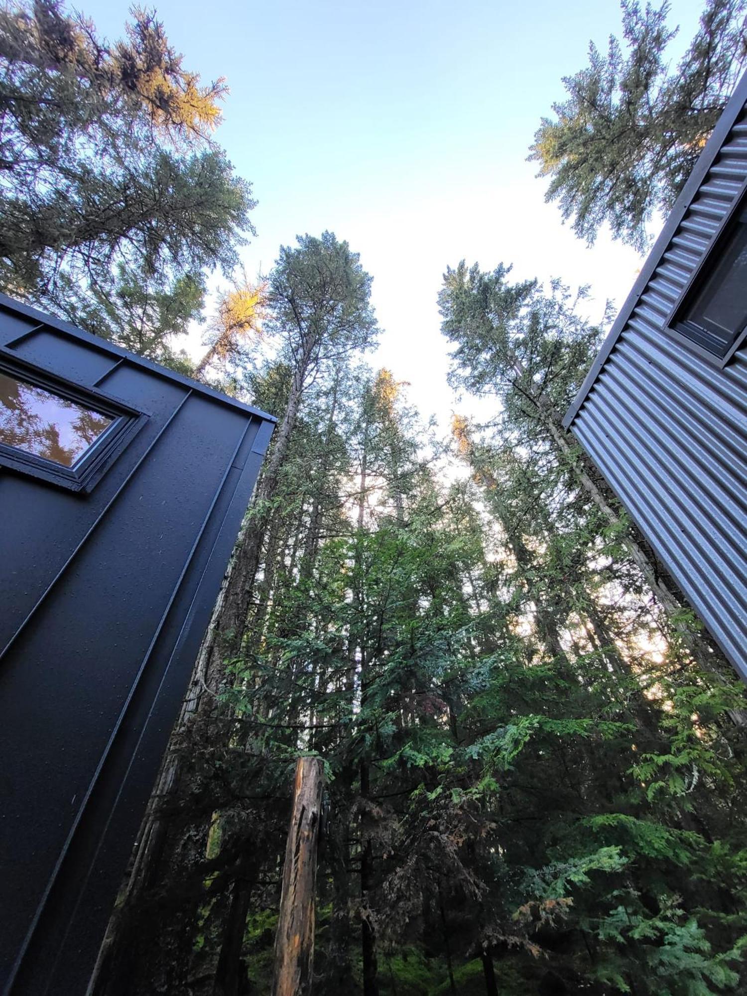 Forest Nook Holiday home